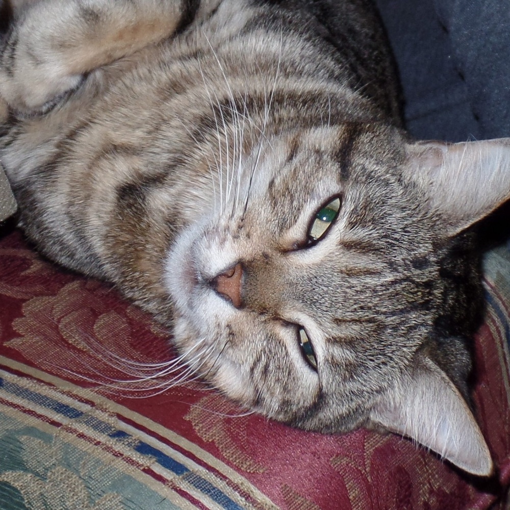 Meet your Posher, Ana